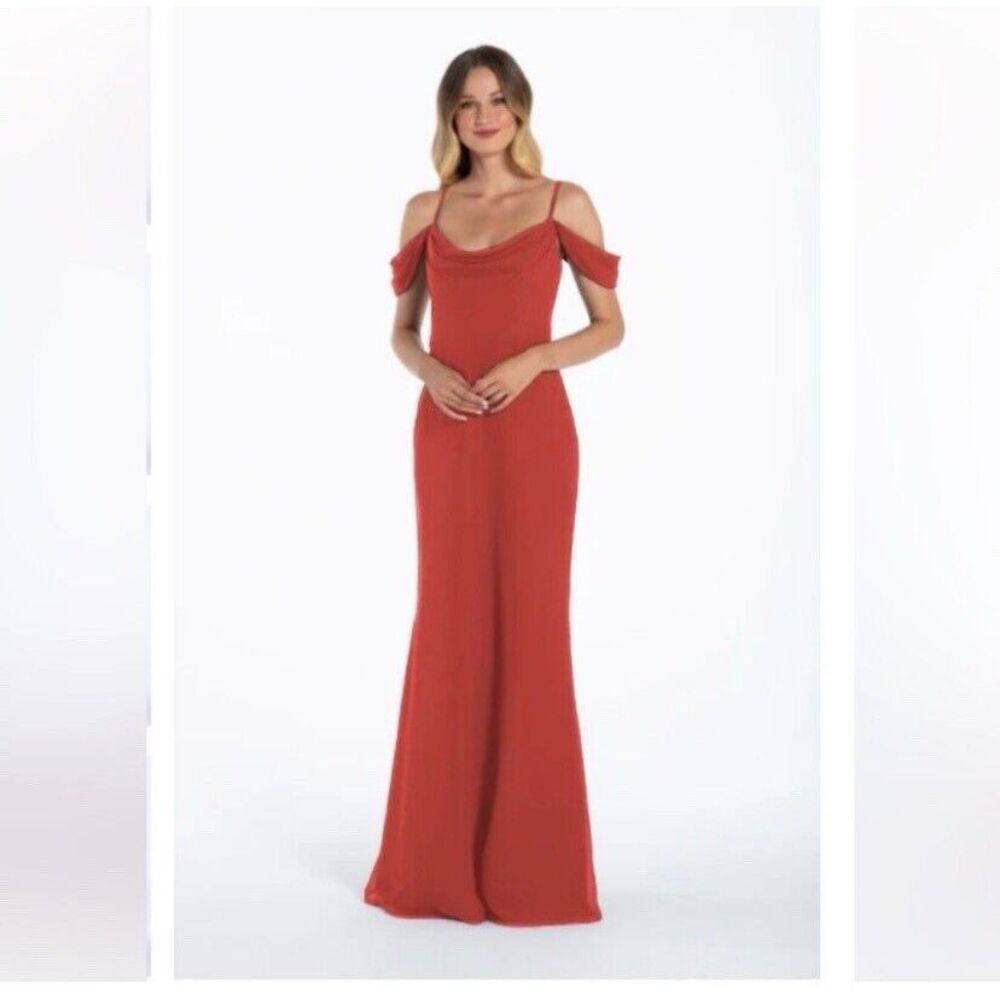 Hayley Paige Occasions Bridesmaid Dress 52108 in Sienna Color Sz 20